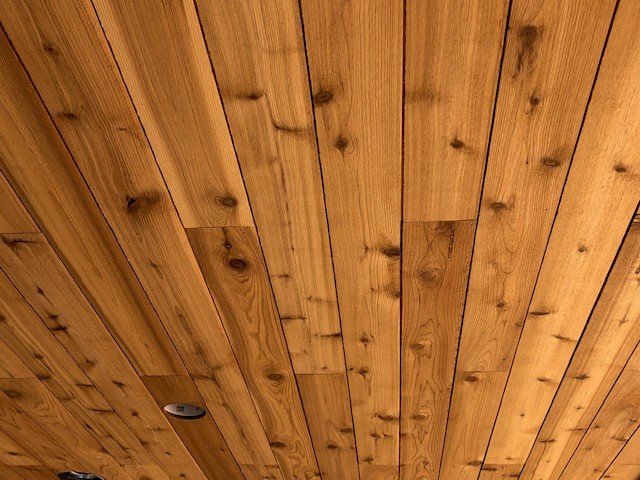 STK-Cedar2