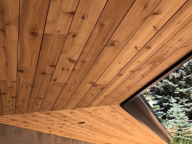 STK-Cedar3